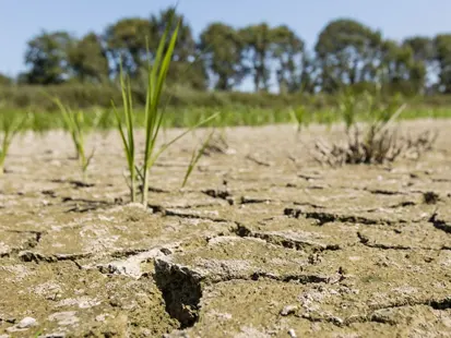 Secheresse et changement climatique